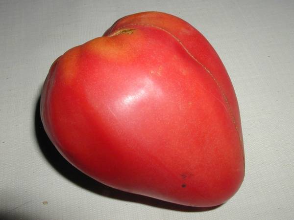 Mazarin