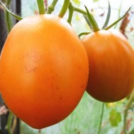 Orange De Barao