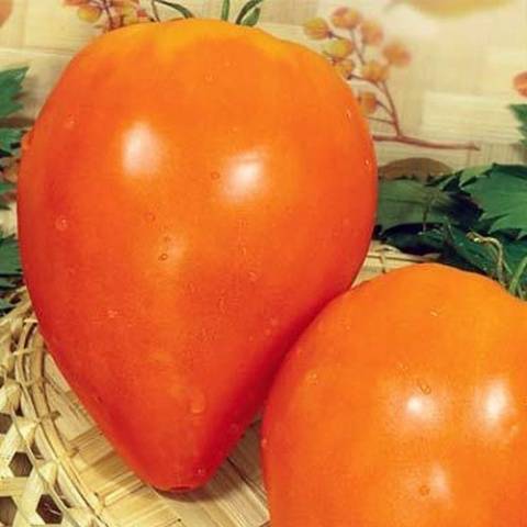 Coração laranja