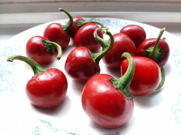 Cherry Pepper