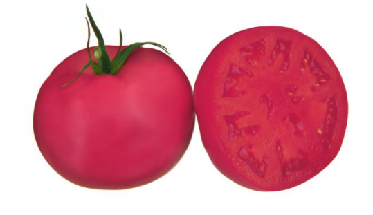 Pink Rise F1