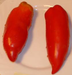 Sabelka