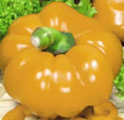 El vellocino de oro